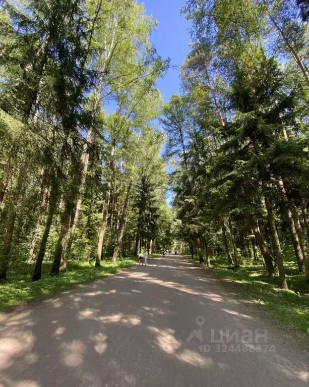 2-к кв. Московская область, Одинцовский городской округ, Заречье пгт ... - Фото 2