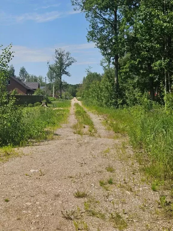 Участок в Новгородская область, Новгородский район, Савинское с/пос, ... - Фото 0