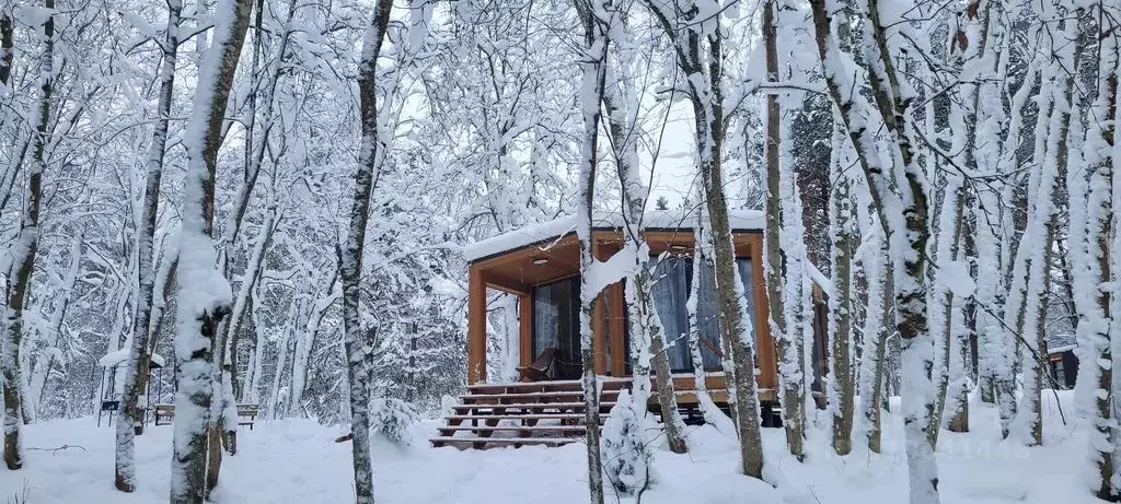 Дом в Ленинградская область, Приозерский район, Красноозерное с/пос, ... - Фото 1