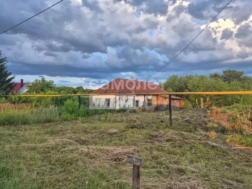 Участок в Липецкая область, Грязинский муниципальный округ, с. Сошки ... - Фото 2