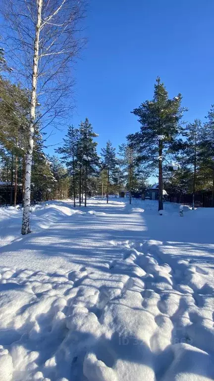 Участок в Ленинградская область, Ломоносовский район, Ропшинское ... - Фото 2