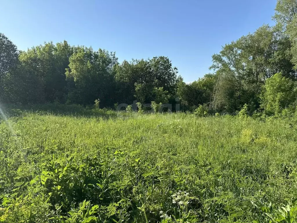 Участок в Самарская область, Самара 11-й Пригородного Лесничества ... - Фото 2