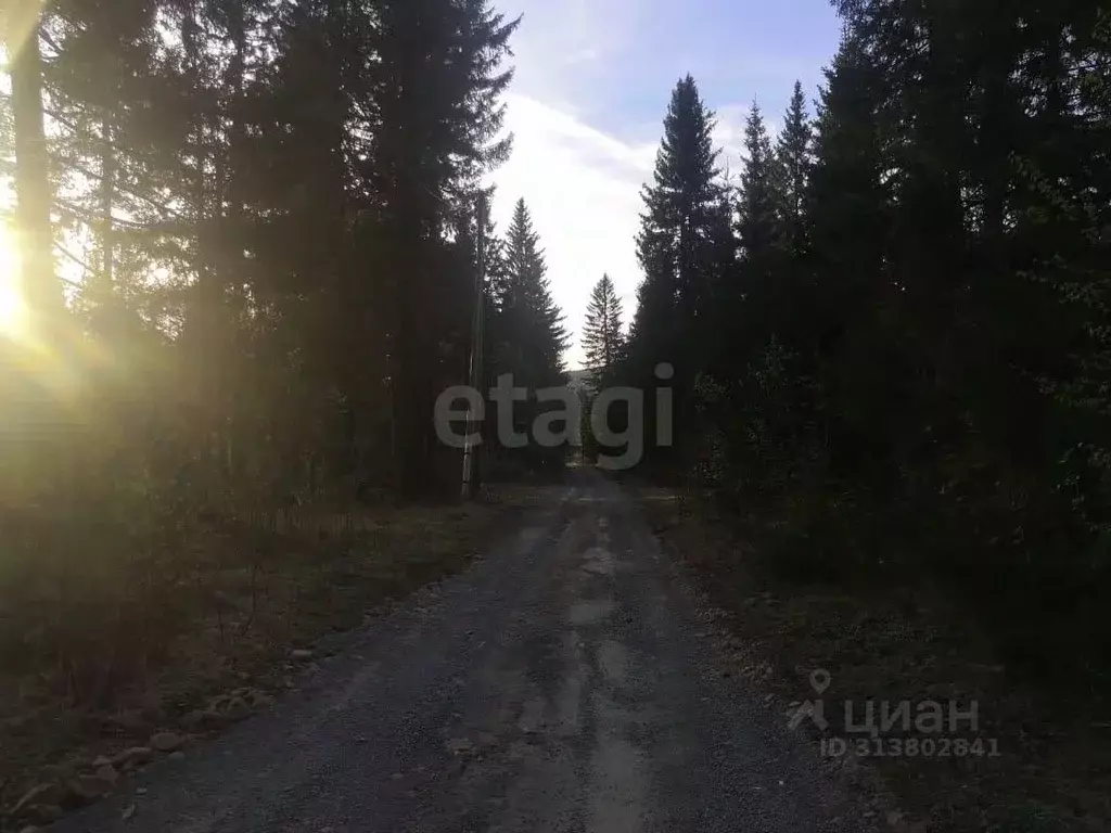 Участок в Свердловская область, Нижний Тагил муниципальный округ, пос. ... - Фото 0