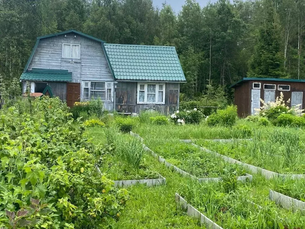 Дом в Владимирская область, Владимир д. Бухолово, 253 (48 м) - Фото 0