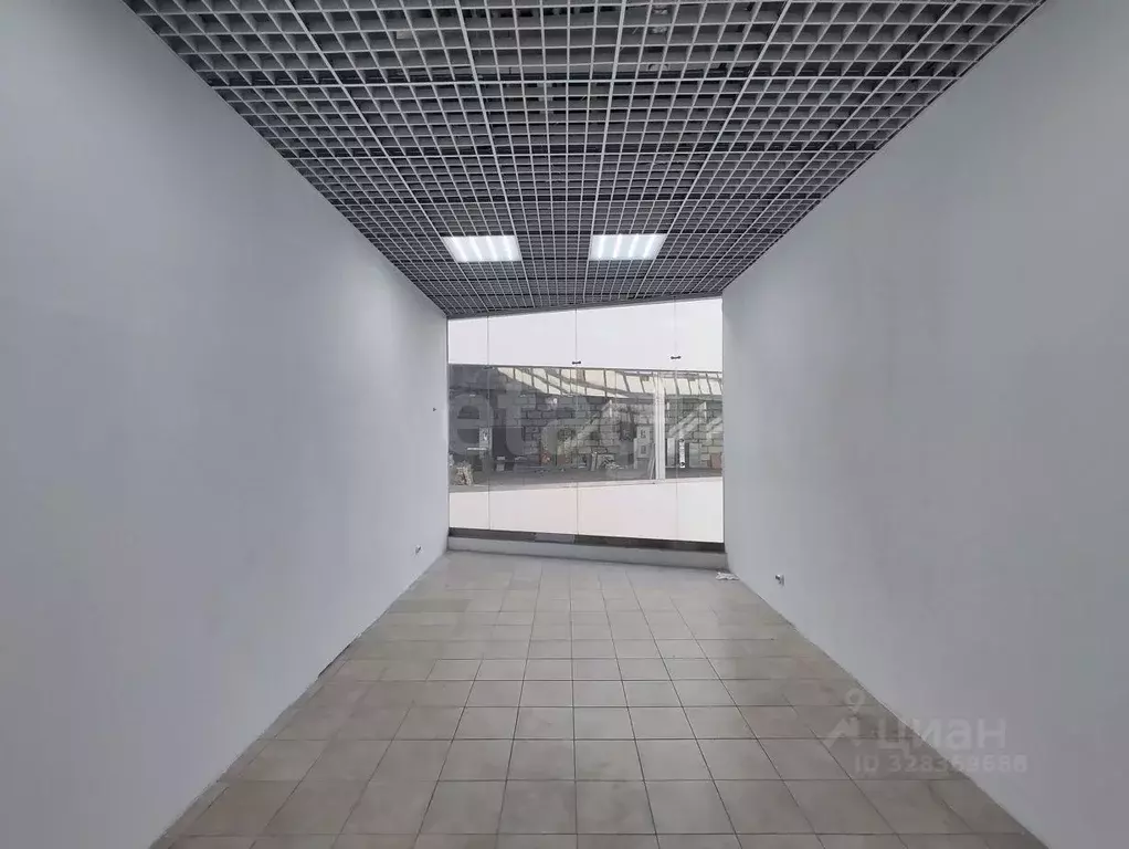 Офис в Коми, Сыктывкар Коммунистическая ул., 50 (15 м) - Фото 2