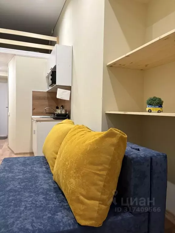1-к кв. Санкт-Петербург Кронверкский просп., 75 (15.0 м) - Фото 1