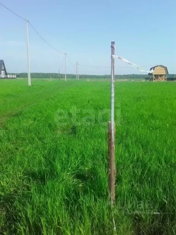 Участок в Вологодская область, д. Карцево  (9.05 сот.) - Фото 1