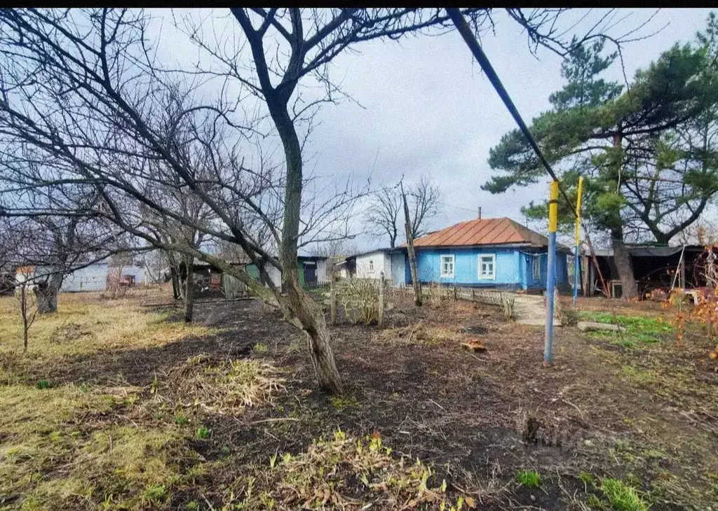 Дом в Курская область, Щигры Курская ул. (41 м) - Фото 1