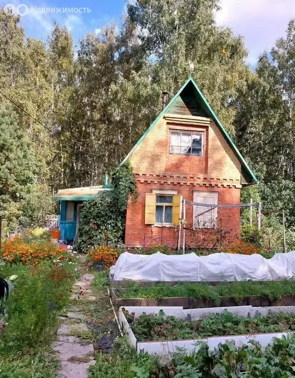 Дом в Омск, территория СОСН Мир (25 м) - Фото 2