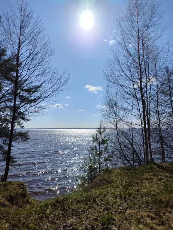 Дом в Нижегородская область, Сокольский городской округ, д. Вязовики ... - Фото 2