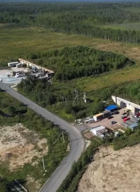 Производственное помещение в Ленинградская область, Всеволожский ... - Фото 2