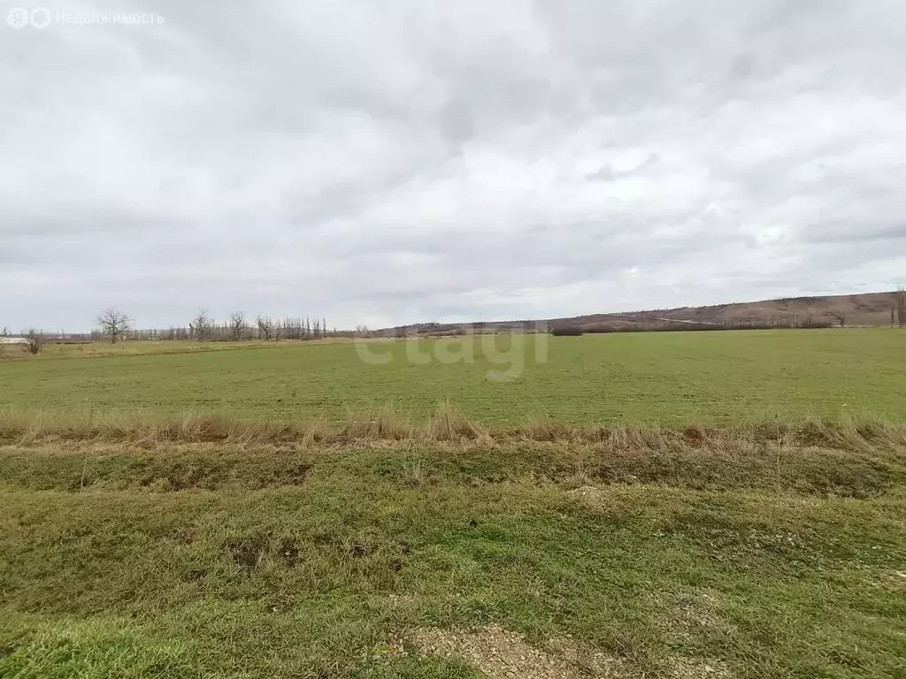 Участок в Белогорский район, Зеленогорское сельское поселение, село ... - Фото 1