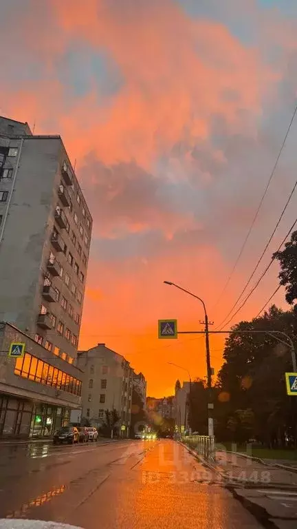 1-к кв. Ленинградская область, Выборг Московский просп., 10 (100.0 м) - Фото 2