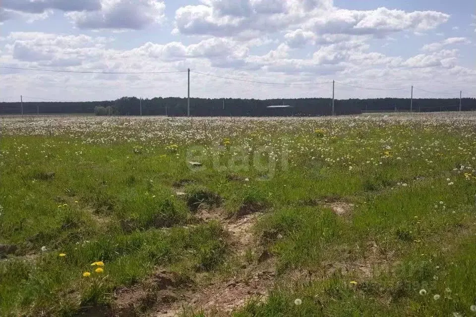 Участок в Нижегородская область, Бутурлино рп ул. Полевая (10.0 сот.) - Фото 1