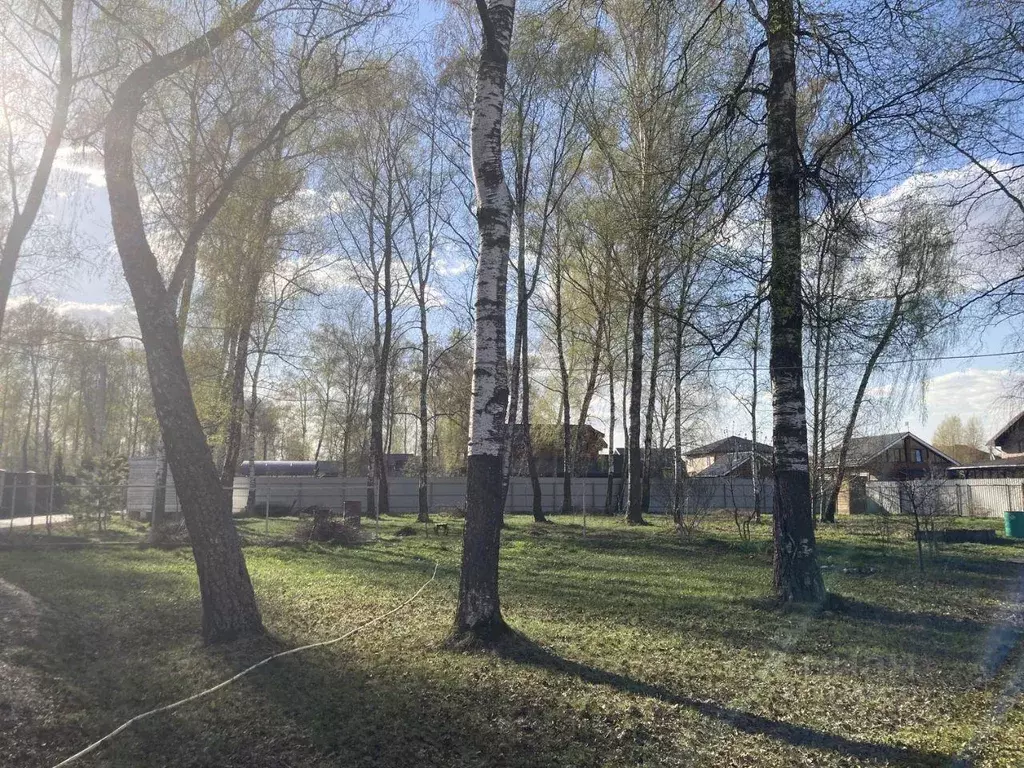 Участок, 20 сот., сельхоз (снт или днп) - Фото 2