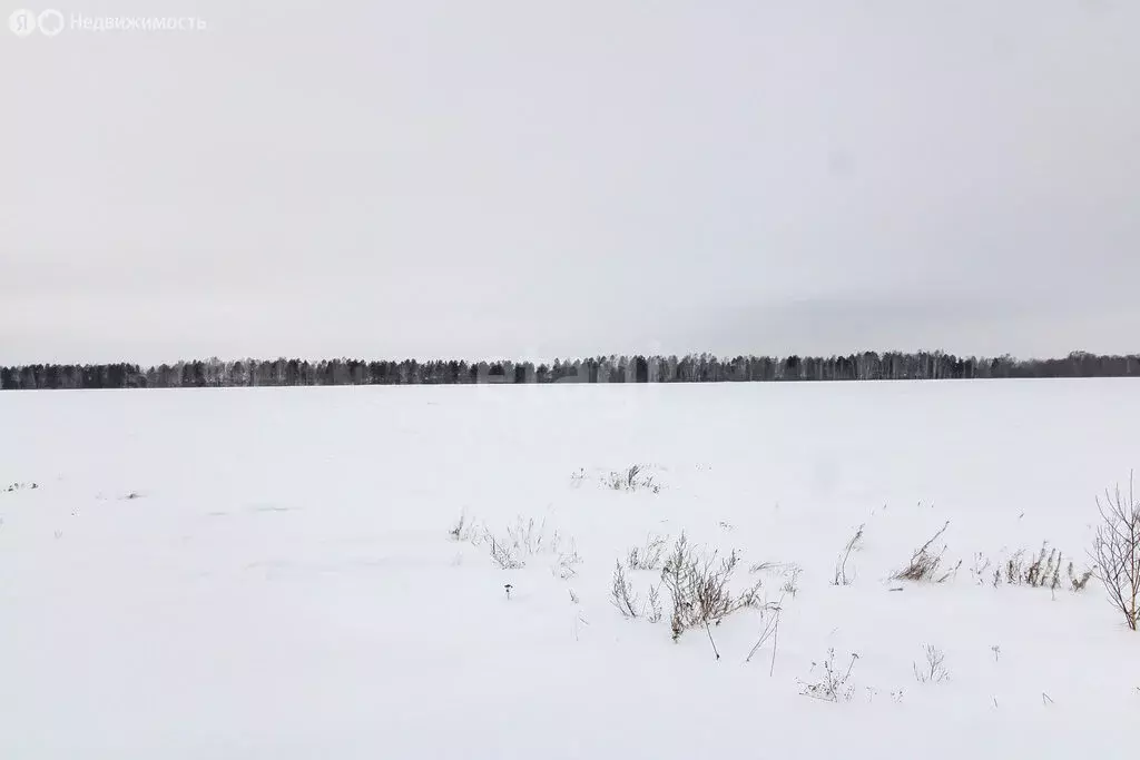 Участок в Каменское муниципальное образование (8 м) - Фото 1