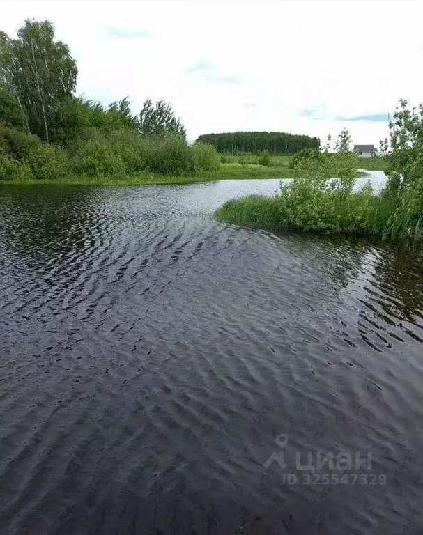 Участок в Московская область, Пушкинский городской округ, Правдинский ... - Фото 2
