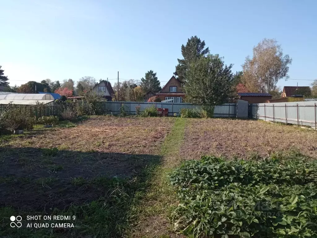 Участок в Новосибирская область, Новосибирский район, Плотниковский ... - Фото 1