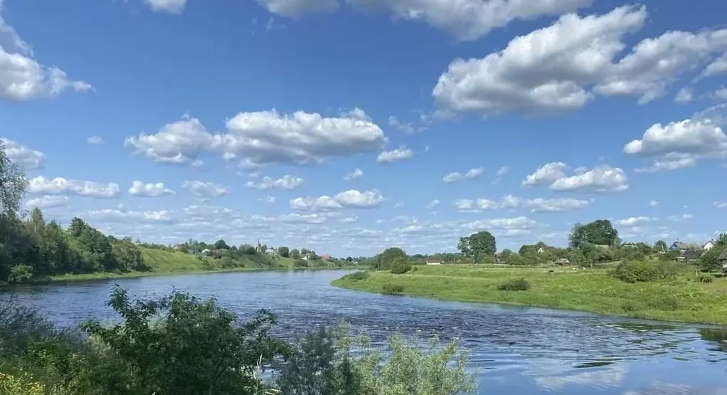 Участок в Новгородская область, Сольцы г. Солецкий муниципальный ... - Фото 1