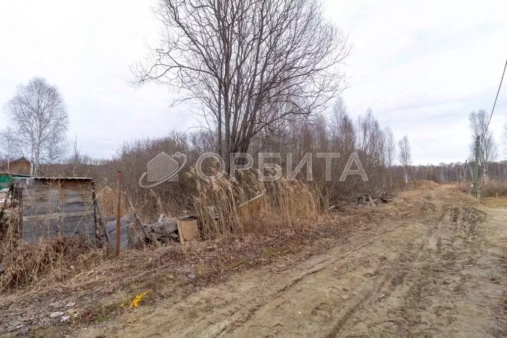 Участок в Тюменская область, Нижнетавдинский муниципальный округ, ... - Фото 2