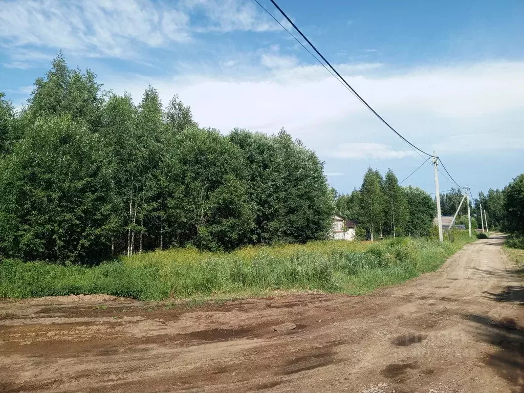 Участок в Ленинградская область, Всеволожский район, Рахьинское ... - Фото 0