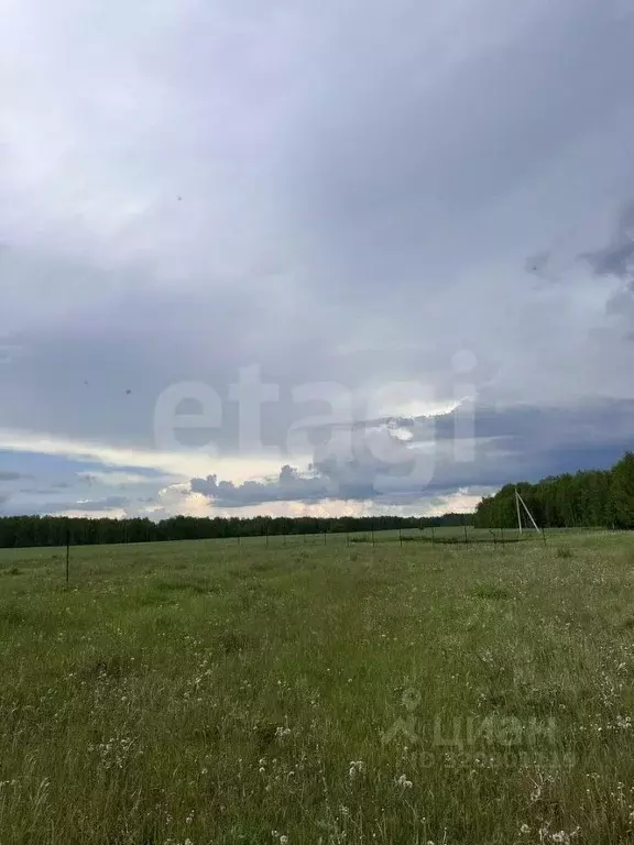 Участок в Курганская область, Кетовский муниципальный округ, КП Лесная ... - Фото 1