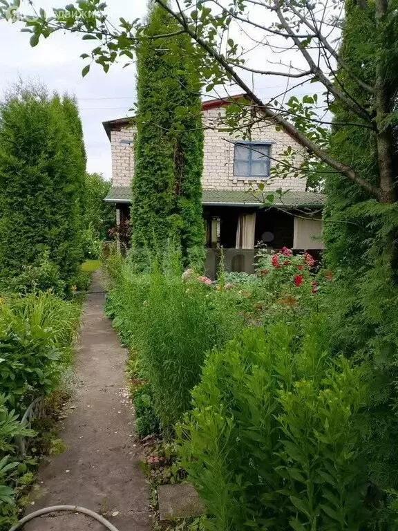 Дом в сельское поселение Выселки, СНТ Успех (53 м) - Фото 1