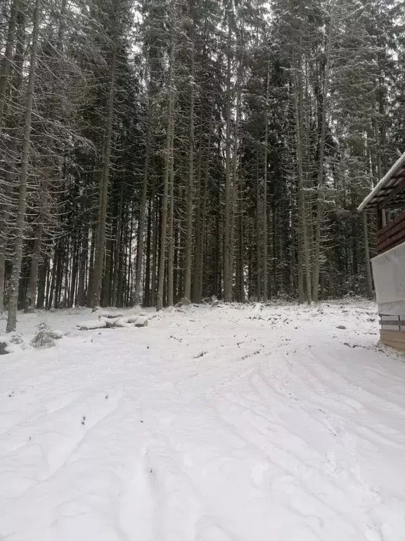 Коттедж в Новгородская область, Демянский муниципальный округ, д. ... - Фото 1