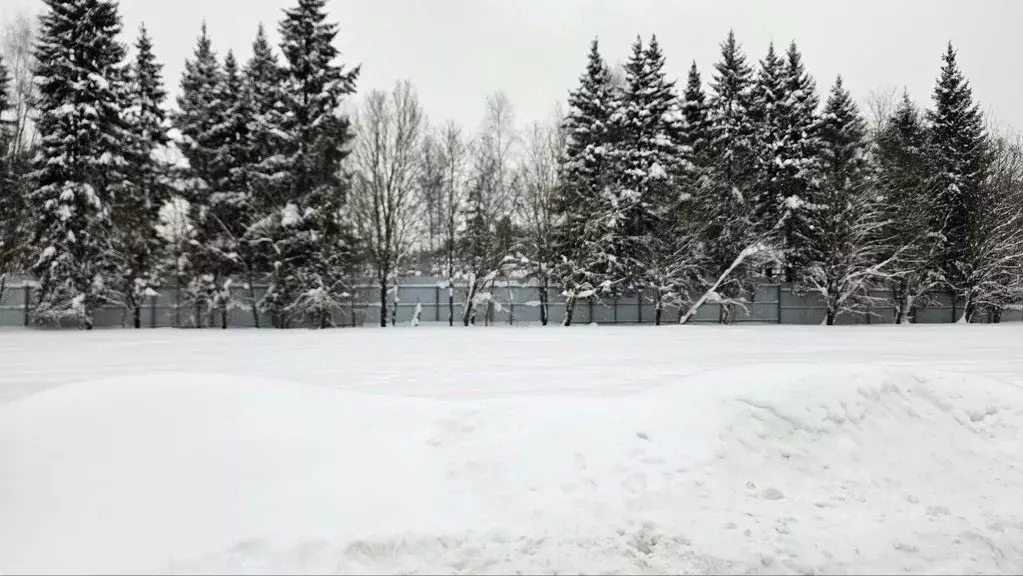 Участок в Московская область, Ленинский городской округ, пос. ... - Фото 1