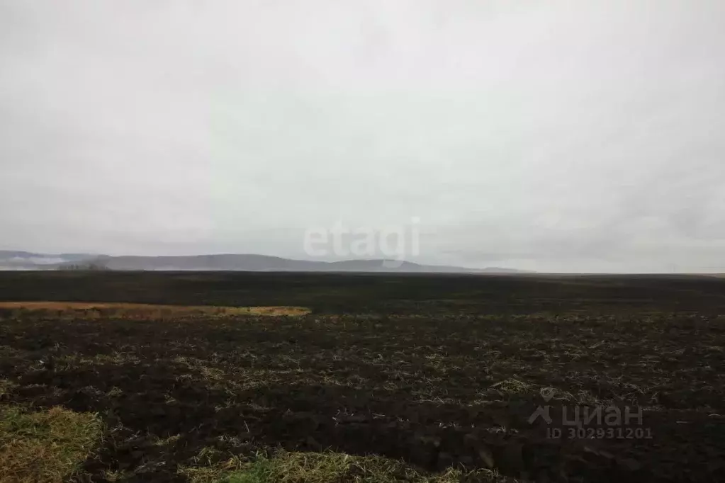 Участок в Красноярский край, Березовский район, Бархатовский ... - Фото 0