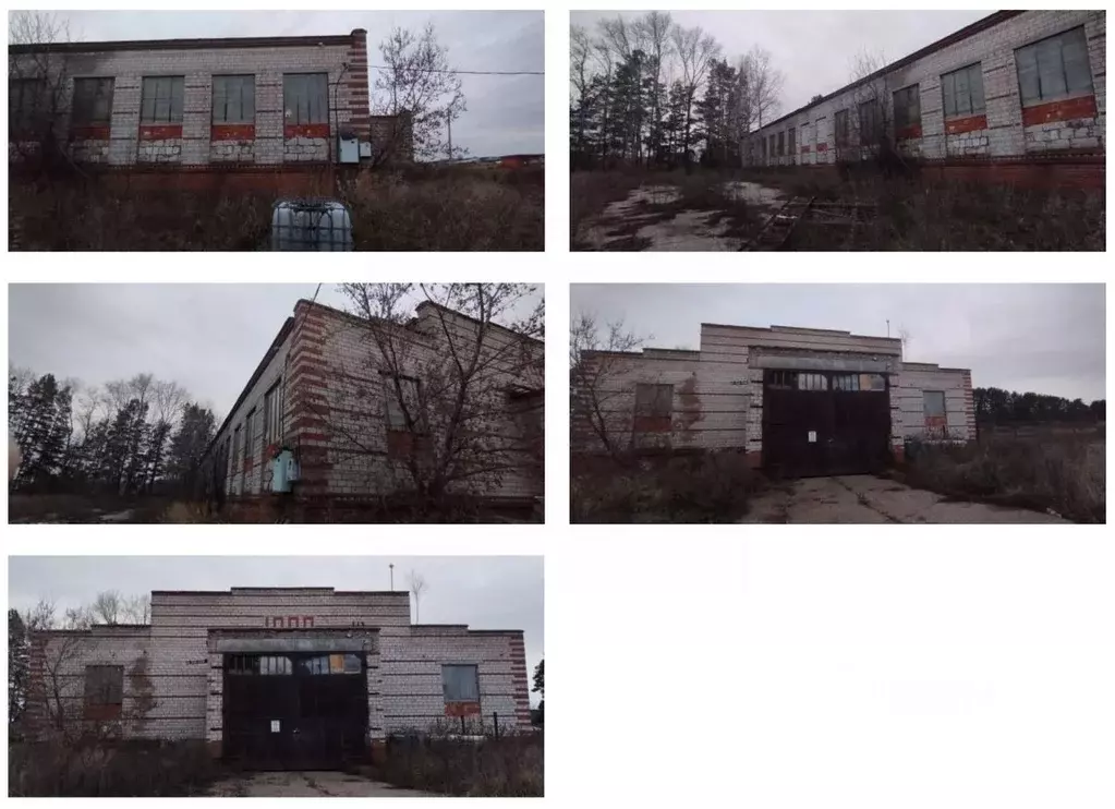 Помещение свободного назначения в Удмуртия, Сарапульский район, с. ... - Фото 1