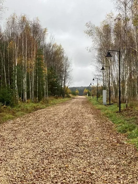 Участок, 7.5 сот., поселения (ижс) - Фото 1