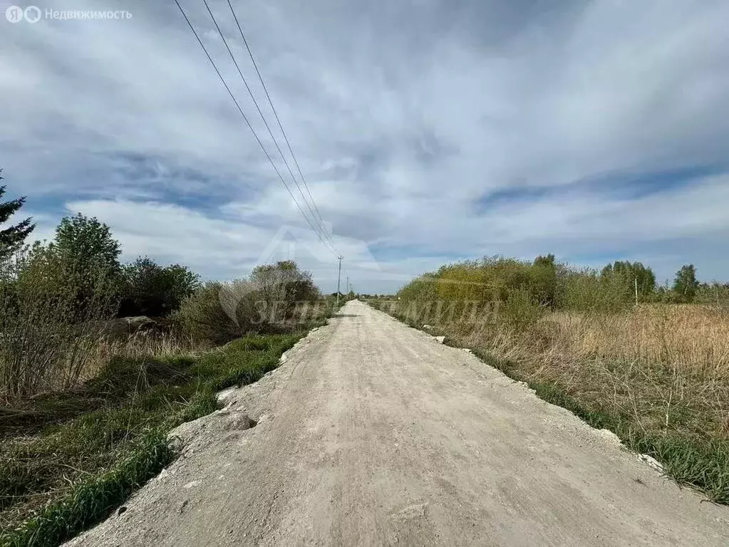 Участок в Тюмень, садовое товарищество Липовый Остров, 2-я Западная ... - Фото 0