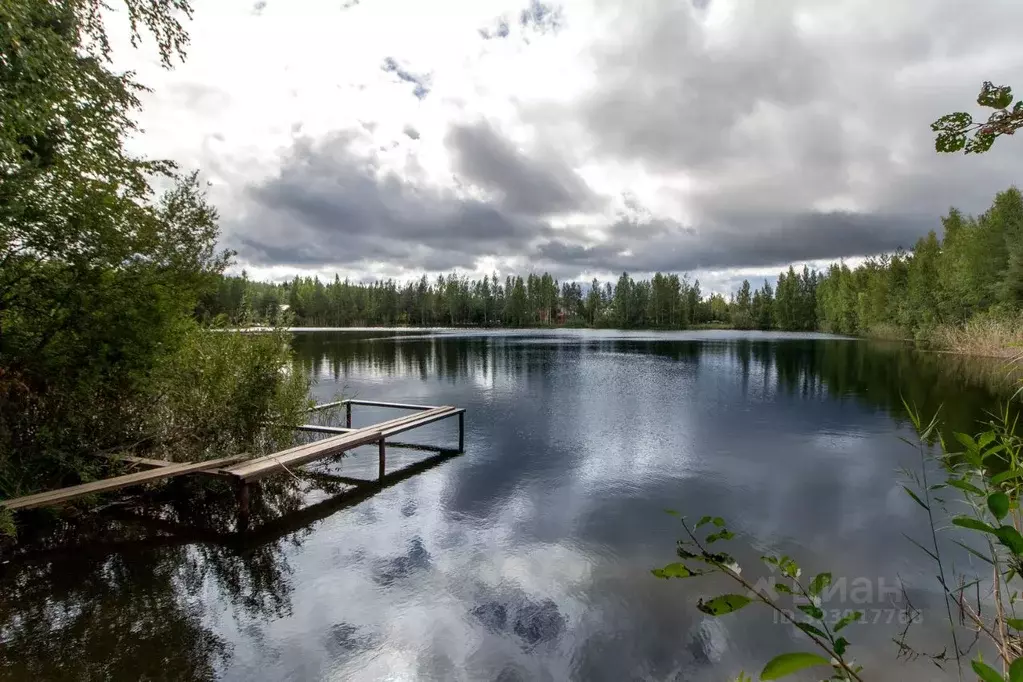 Участок в Ленинградская область, Ломоносовский район, Пениковское ... - Фото 1
