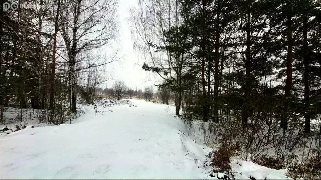 Участок в посёлок Юго-Камский, Молодёжная улица (12 м) - Фото 1