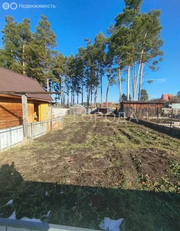 Дом в станция Озёрки, Лесная улица, 49 (33 м) - Фото 2