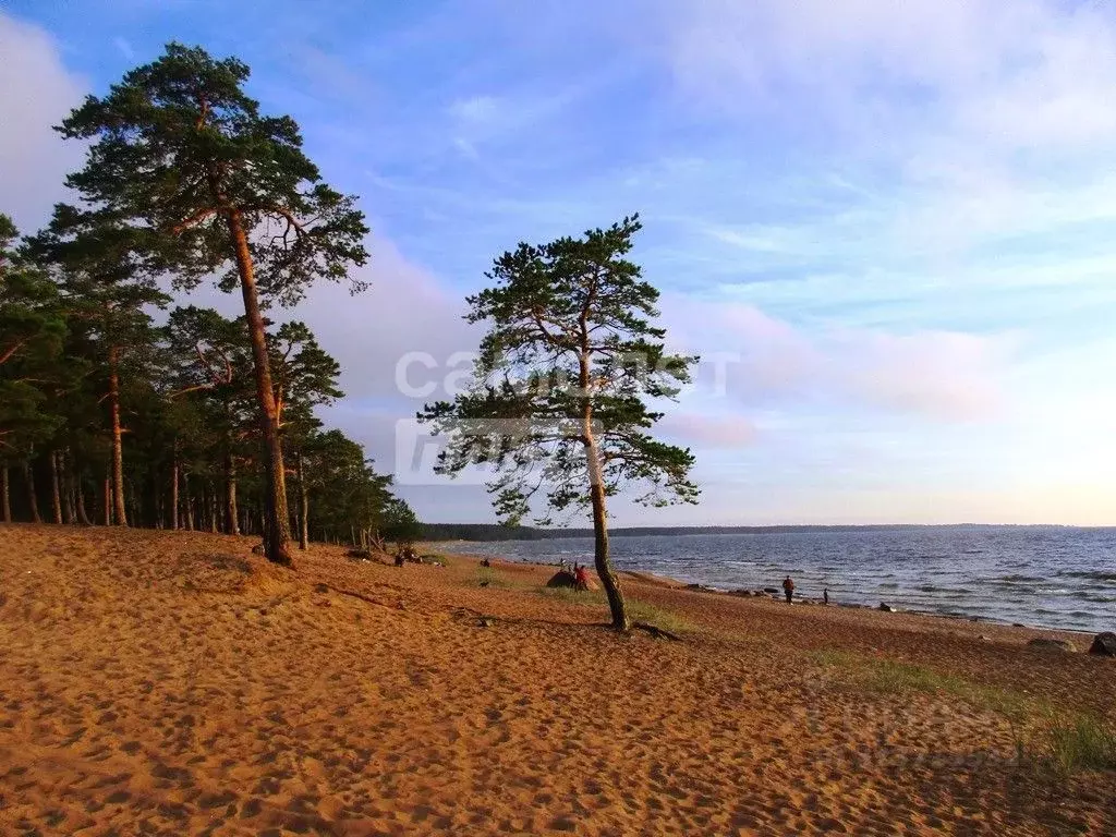 Участок в Нижегородская область, Городецкий муниципальный округ, ... - Фото 1