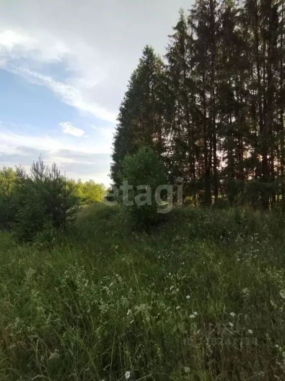 Участок в Новгородская область, Боровичский район, Прогресское с/пос, ... - Фото 0