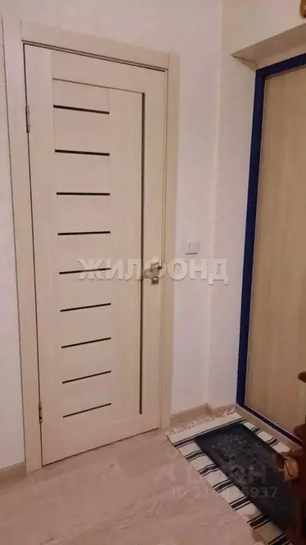 2-к кв. Новосибирская область, Новосибирск ул. Костычева, 36 (56.7 м) - Фото 1