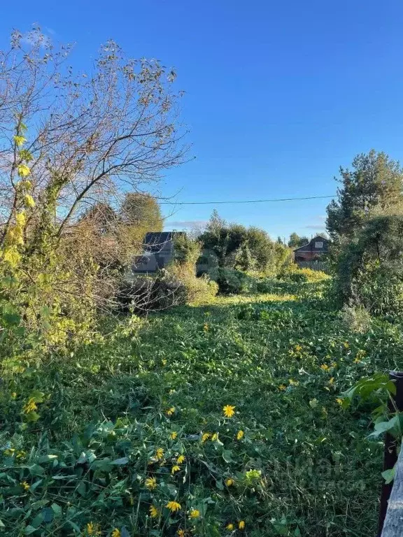 Участок в Вологодская область, Вологда Парус садоводческое ... - Фото 2