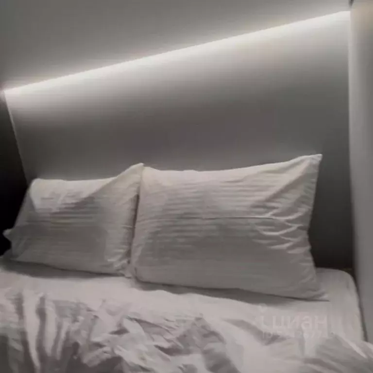 1-к кв. Санкт-Петербург ул. Чехова, 4Б (10.0 м) - Фото 2