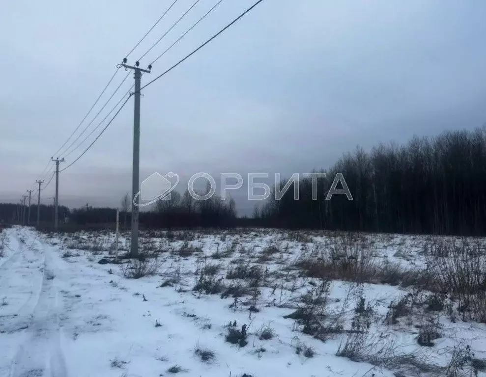 Участок в Тюменская область, Тюменский район, с. Горьковка  (9.16 ... - Фото 1