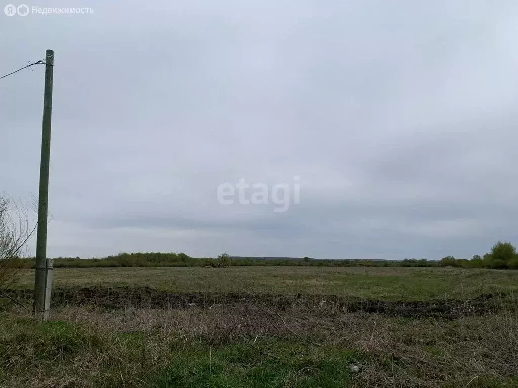 Участок в Далматово, улица Соболева (15 м) - Фото 1