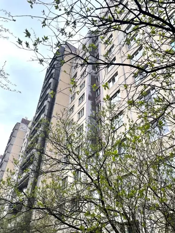 2-к кв. Санкт-Петербург Бухарестская ул., 152К2 (56.4 м) - Фото 1