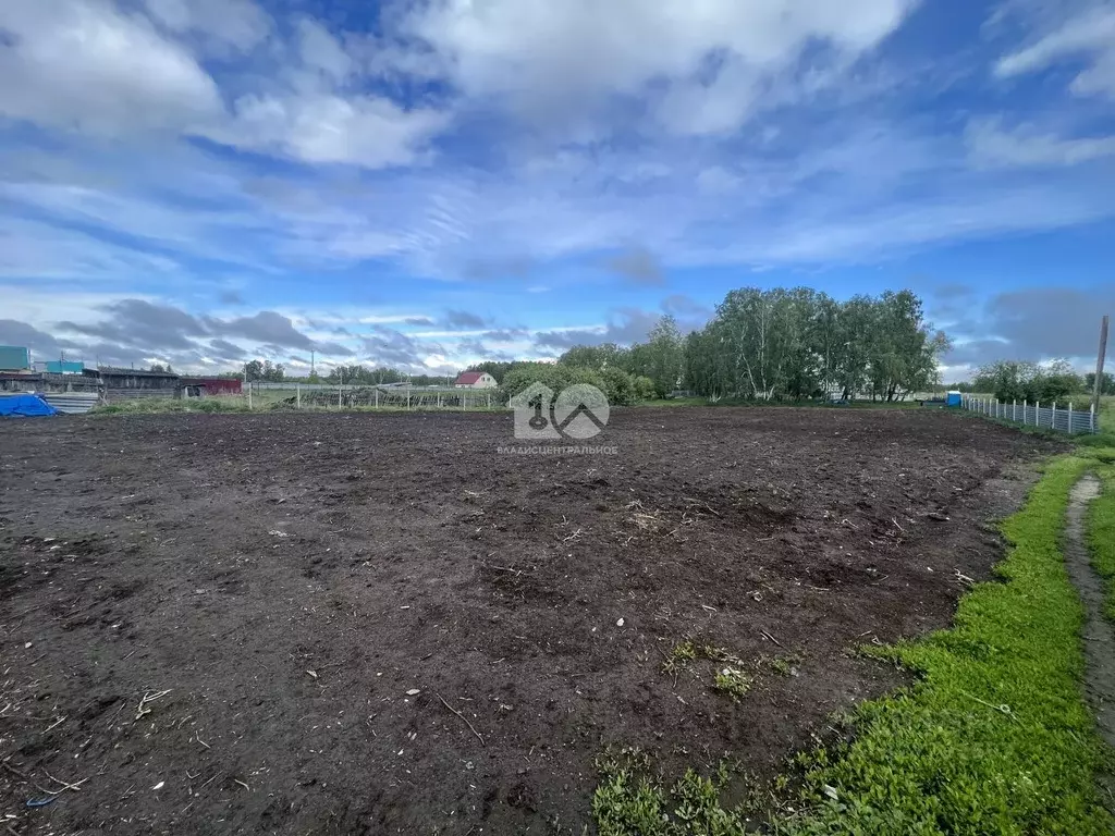 Участок в Новосибирская область, Коченевский район, д. Буньково ... - Фото 1