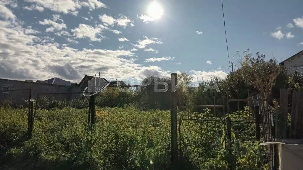 Участок в Тюменская область, Тюмень Трудовик ТСН, ул. Березовая (7.0 ... - Фото 1