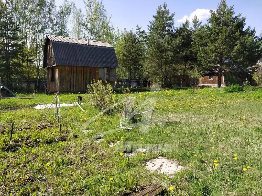 Дом в Московская область, Богородский городской округ, Имени ... - Фото 1