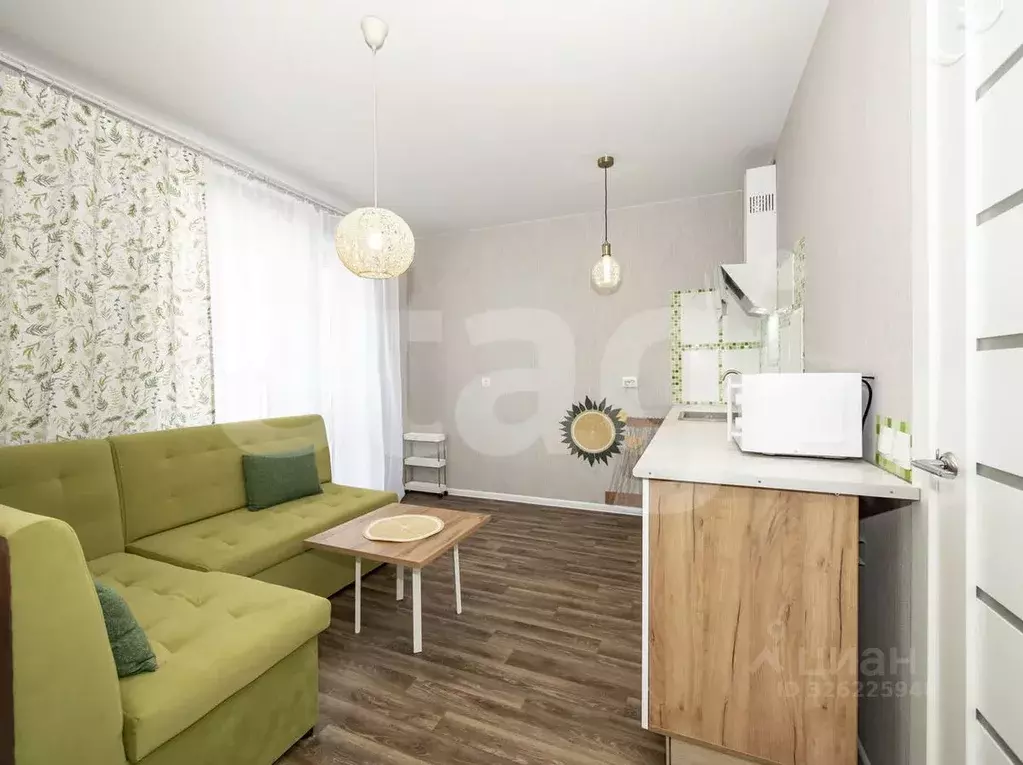 Студия Новосибирская область, Новосибирский район, Станционный ... - Фото 2