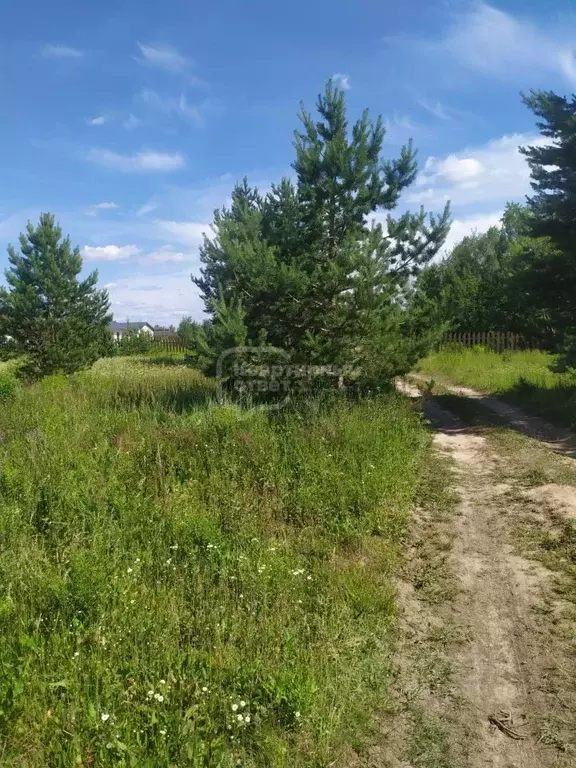 Участок в Владимирская область, Суздальский район, Боголюбовское ... - Фото 0