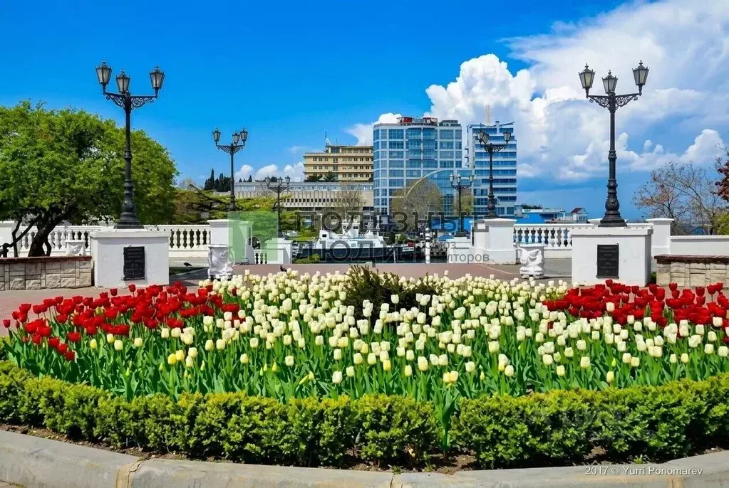 1-к кв. Севастополь ул. Новороссийская, 44 (30.3 м) - Фото 2
